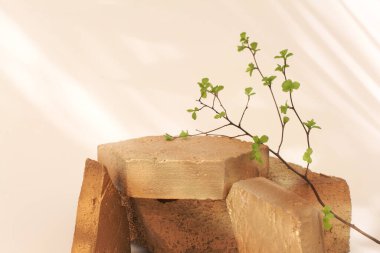 Bej ışık ve gölge yansıma duvarı arkaplanındaki boş desenli altın renkli eko podyum. En düşük ekran ürün sunum sahnesi.