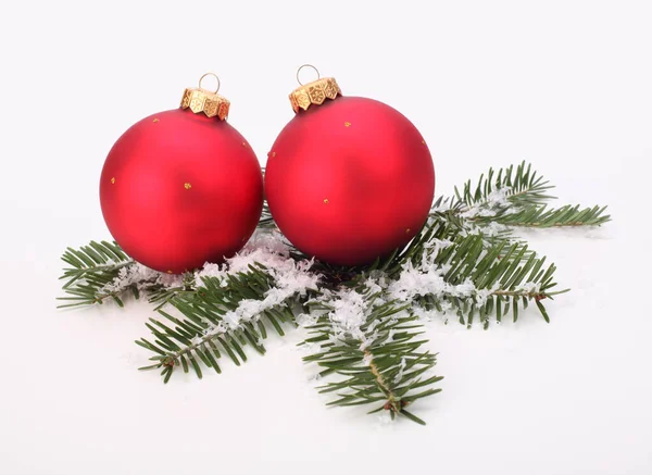 Πράσινο Κλαδί Ερυθρελάτης Κόκκινο Χριστούγεννα Μπάλα Στο Φως Φόντο — Φωτογραφία Αρχείου