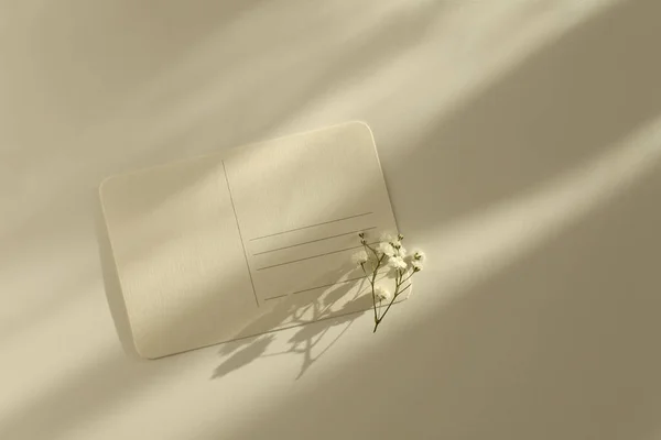 空の空白のテクスチャキャンバス紙カード テキストメッセージのコピースペースの花 光と影ミニマリズムスタイルテンプレート ベージュの背景 — ストック写真