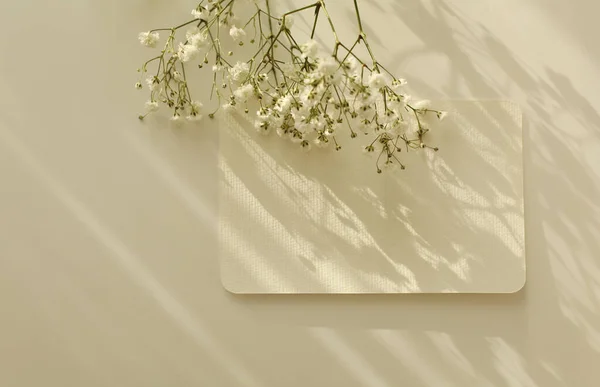 Mesajın Çigila Çiçeğin Için Fotokopi Alanı Olan Boş Desenli Kağıt — Stok fotoğraf