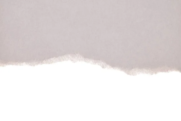 Rasgado Peças Vazias Textura Cinza Papel Bege Isolado Fundo Branco — Fotografia de Stock