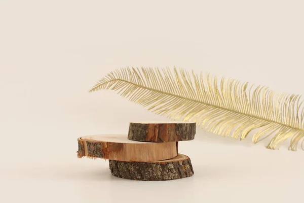 Wooden Eco Rustic Wood Circle Disc Platform Podium Gold Leaf — Stok fotoğraf