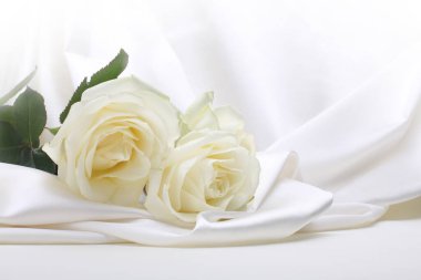 Nacre wave fabric silk with white rose flower bouquet. Abstract texture horizontal copy space background.