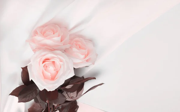 Wave Fabric Silk Beige Pink Rose Flower Bouquet Abstract Texture — Foto de Stock