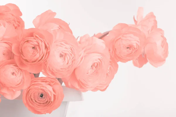 Fumo Morbido Beige Rosa Anemone Bouquet Fiori Sfondo Chiaro — Foto Stock