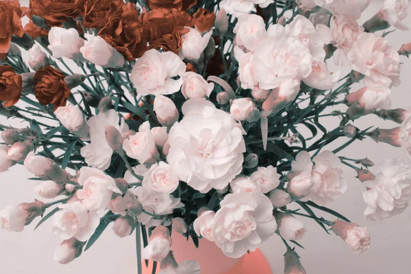 Квітковий Букет Фону Бежеві Рожеві Гвоздики — стокове фото