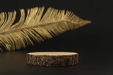 Eko rustik ahşap daire disk platform podyumu ve siyah arka planda altın yaprak. En az boş ürün sunum sahnesi.