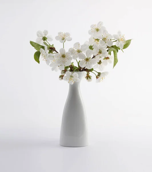 Blühender Blütenzweig Der Vase Auf Hellem Hintergrund Minimalistisches Stillleben — Stockfoto