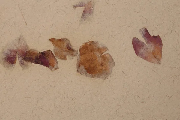 Scrapbook Beige Crumpled Old Craft Paper Blank Flower Petals Texture — Stock Photo, Image