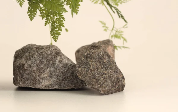 Stack Stones Leaf Platform Podium Beige Light Background Minimal Empty — Stock Photo, Image