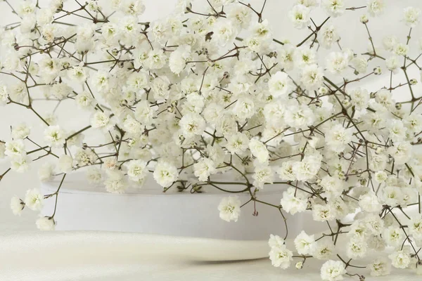 Gypsophila Kwiat Bukiet Białym Podium Jedwabiu Tkaniny Jasnobeżowe Tło Minimalna — Zdjęcie stockowe