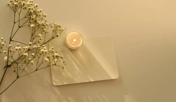 Yanan Mum Çiçek Dalı Boş Kağıt Kart Akşam Işığı Gölgeler — Stok fotoğraf