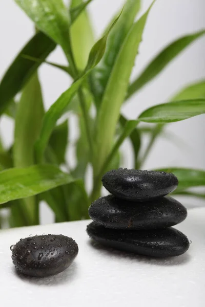 Czarny Kamień Zielony Liść Bambusa Minimalna Pusta Scena Prezentacji Produktu — Zdjęcie stockowe
