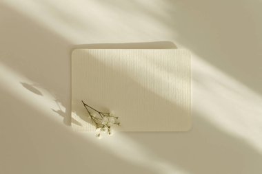 Metin mesajınız için içinde kopya alanı olan boş desenli kağıt kartı boşalt. Işık ve gölgeler minimalizm şablon bej arkaplan. 