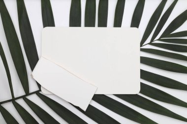 Boş Kağıt Döküm Kartı, metin mesajınız için kopyalama alanı olan palmiye yaprağı. Minimalizm tarzı şablon arka planı. Üst görünüm. 