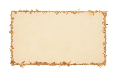 Altın (bronz) simler beyaz kağıt zemin üzerinde izole edilmiş boş tuval çerçeve. Soyut kopyalama alanı dokusu.
