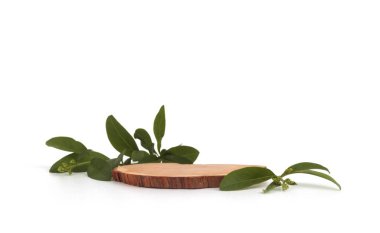 Hafif arka planda ahşap eko-rustik çam ağacı platformu. En az boş ürün sunum sahnesi.