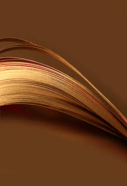 Abstract glow backgound. Gold (bronze) paper wave on brown background.