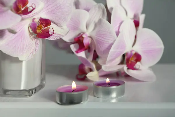 Roze Phalaenopsis Orchidee Bloem Kaars Beige Selectieve Zachte Focus Minimalistische — Stockfoto