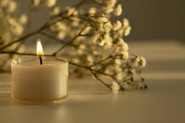 Yanan mum ve çiçek dalı. Yumuşak odaklanma. Akşam ışığı ve gölge arka planı. Minimalist hareketsiz hayat.