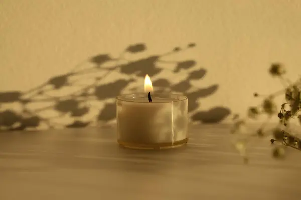 Burning candle and flower twig. Soft focus. Evening Light and shadow background. Minimalist still life.