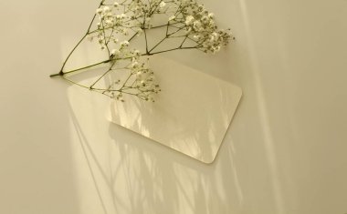 Çiçek, boş desenli tuval kâğıt kartı mesajınız için. Işık ve gölgeler minimalizm şablon bej arkaplan.