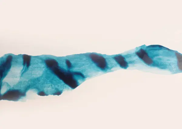 インクブルー 水彩手描きの流れの汚れ塗装のブタ ぬれたベージュ紙の質の背景の波の風景 — ストック写真