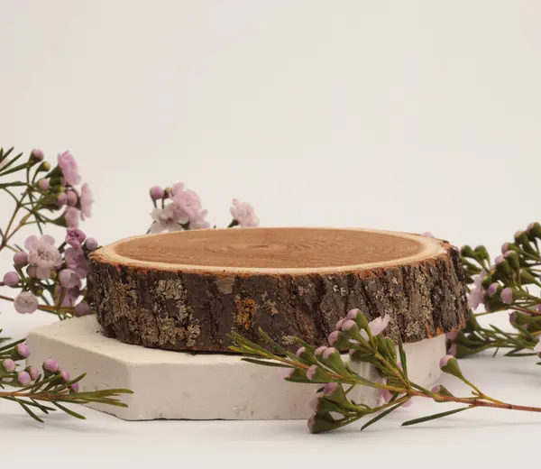 Holzkreisstumpf Blumenpodest Auf Beigem Hintergrund Minimal Leere Produktpräsentationsszene — Stockfoto