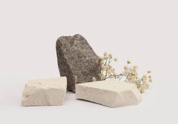 Белый Серый Камни Платформы Подиум Сухой Цветок Веточка Бежевом Светлом Стоковое Изображение