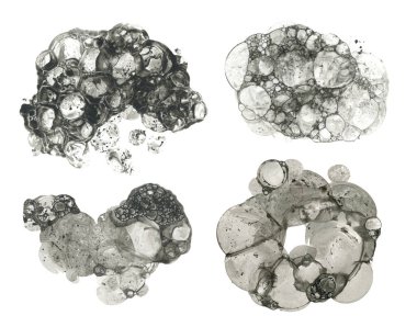 Suluboya mürekkep çemberi baloncuk lekesi düşer. Soyut doku siyah renk lekesi beyaz arkaplanda izole edilmiş. Ayarla. 