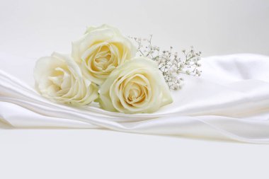 Beyaz nacre dalga kumaş kumaş desen kopya arkaplan üzerinde bej krem gül çiçek buketi.