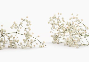 Beyaz ışık arka planında çikila çiçeği buketi tüttür.