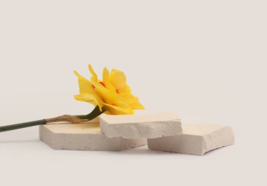 Beyaz Taşlar platformu podyumu, bej ışıklı arka planda sarı narsisli çiçek. En az boş ürün sunum sahnesi.