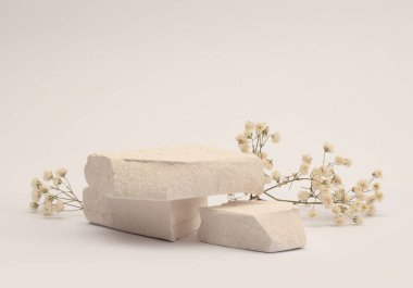 White Stones platformu podyumu, bej ışıklı arka planda kuru çiçek dalı. En az boş ürün sunum sahnesi.