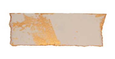 Yırtık, yırtık kağıt parçaları beyaz arka planda izole edilmiş. Altın, bej gri kopya alanı dokusu .