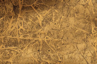 Craquelure çizik desenli buruşuk duvar arkaplanı. Soyut Altın, bronz, siyah renk.