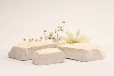White Stones platformu podyumu, bej ışıklı arka planda kuru çiçek dalı. En az boş ürün sunum sahnesi.