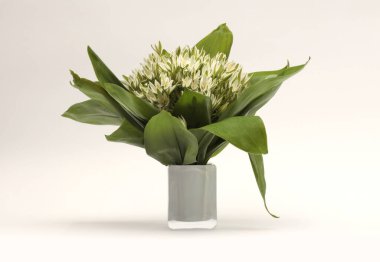 Küçük beyaz kardelen çiçeği, açık bej arkaplanda vazoda yaprak demeti buketi..