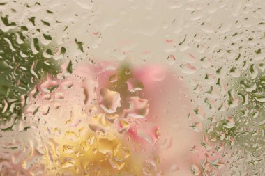 Yumuşak odaklı pembe çiçek, yeşil yapraklı ıslak su damlaları. Soyut doğa bulanık bej arkaplan.