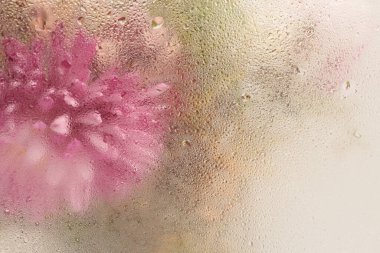 Su damlalarıyla dolu camlara odaklanmış çiçek buketi. Soyut doğal bulanık pembe, bej arkaplan.