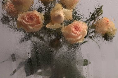 Yumuşak odaklı krem bej gül çiçeği buketi, ıslak su damlaları ile birlikte camda. Soyut doğal bulanık arkaplan.