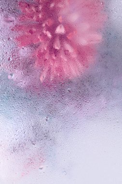 Smoke Soft odak çiçek buketi su damlaları ile cam aracılığıyla. Soyut doğal bulanık pembe, menekşe, leylak, bej arkaplan.