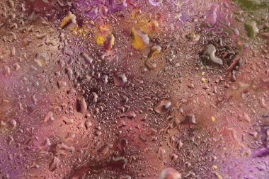 Yakın plan sigara, seçici yumuşak odak pembe, menekşe çiçeği, taç yaprağı, erkek organı; stamen. Makro bulanık doğal soyut arkaplan.