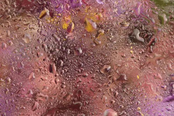 Yakın plan sigara, seçici yumuşak odak pembe, menekşe çiçeği, taç yaprağı, erkek organı; stamen. Makro bulanık doğal soyut arkaplan.