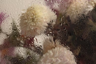 Duman seçildi, nemli su damlalarıyla dolu cam içinden yumuşak odaklı paskalya çiçeği buketi. Soyut doğal bulanık arkaplan.