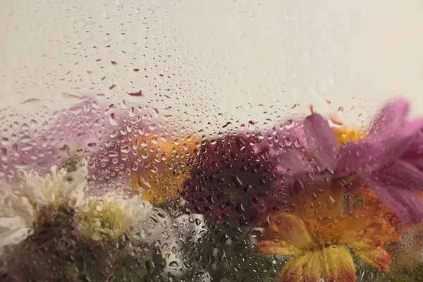Duman seçildi, nemli su damlalarıyla dolu cam içinden yumuşak odaklı paskalya çiçeği buketi. Soyut doğal bulanık arkaplan.