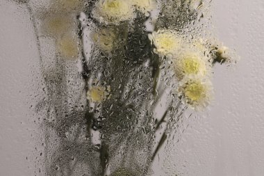 Duman seçici yumuşak odak küçük çiçek buketi ve ıslak su damlaları. Soyut doğal bulanık arkaplan.