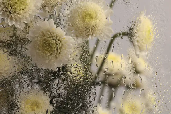 Duman seçici yumuşak odak küçük çiçek buketi ve ıslak su damlaları. Soyut doğal bulanık arkaplan.