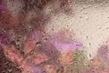 Smoke Soft focus leylak, pembe çiçek buketi ve su damlaları. Soyut doğal bulanık arkaplan.