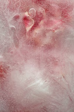 Yumuşak odaklı pembe çiçek yaprağı, donmuş buzda yaprak. Soyut doğal bulanık dumanlı arka plan.